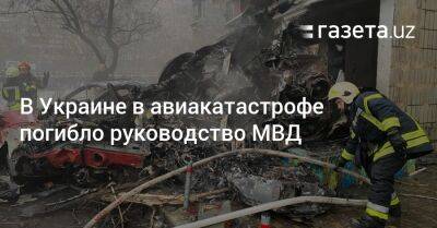 В Украине в авиакатастрофе погибло руководство МВД