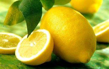 Светлана Фус - Раскрыты уникальные свойства лимона - charter97.org - Белоруссия
