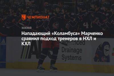 Нападающий «Коламбуса» Марченко сравнил подход тренеров в НХЛ и КХЛ