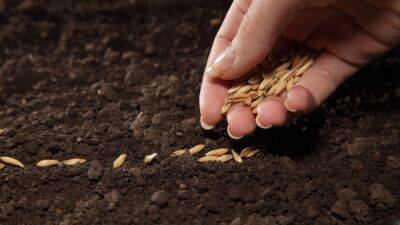 В Тверской области в 2022 году более 500 раз проверяли почву на плодородие