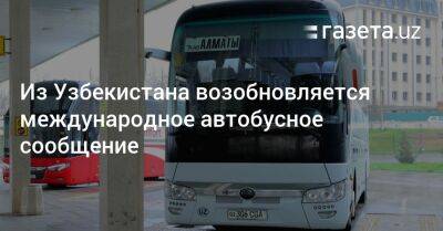 Из Узбекистана возобновляется международное автобусное сообщение