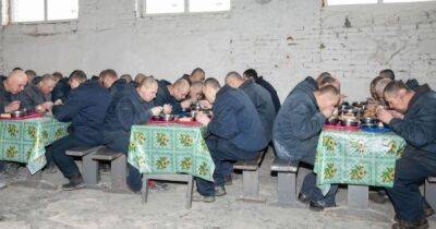 Готовят, работают и читают книги: СМИ показали, как содержатся российские пленные в Украине (ФОТО)