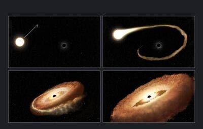 Телескоп Хаббл показал, как сверхмассивная черная дыра пожирает маленькую звезду — это уникальное событие, случающееся несколько раз в 100 000 лет