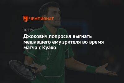 Джокович попросил выгнать мешавшего ему зрителя во время матча с Куако