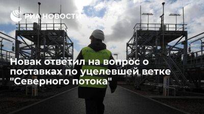 Новак заявил, что говорить о поставках по уцелевшей ветке "Северного потока" пока рано