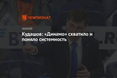 Кудашов: «Динамо» схватило и поняло системность