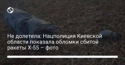 Не долетела: Нацполиция Киевской области показала обломки сбитой ракеты X-55 – фото