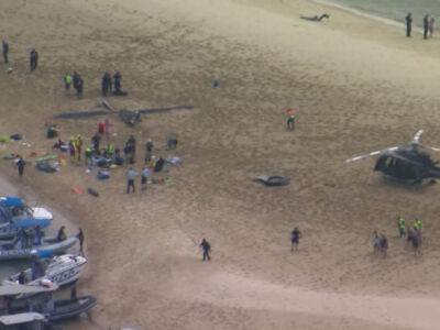 Два вертолета столкнулись в воздухе возле тематического парка в Австралии, есть жертвы