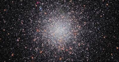 Космический телескоп Хаббл показал рой звезд в космическом улье: в чем его особенность (фото)