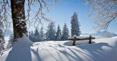 Метели и морозы: синоптик рассказала, какой будет погода на Рождество (фото)