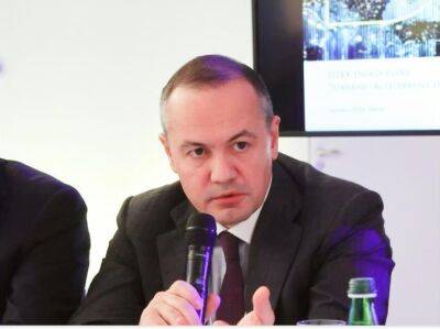 Украина может достигнуть 50% доли "зеленой" энергетики к 2030 году, – глава ДТЭК Тимченко в Давосе