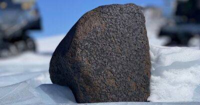 Космический камень-монстр. В Антарктиде нашли один из самых больших метеоритов за 100 лет (фото)