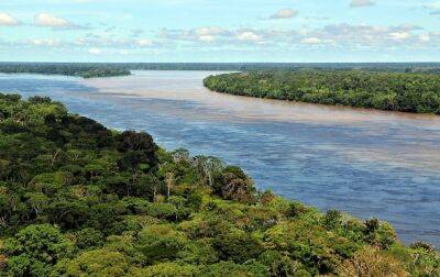 В Бразилии зафиксированы рекордные показатели вырубки леса - СМИ