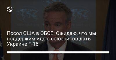 Майкл Карпентер - Посол США в ОБСЕ: Ожидаю, что мы поддержим идею союзников дать Украине F-16 - liga.net - США - Украина - Вашингтон - Голландия