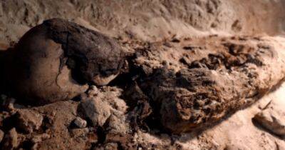 Похоронен со 142 собаками: археологи нашли необычную могилу ребенка в Египте - focus.ua - Украина - Египет - Иерусалим - Находка