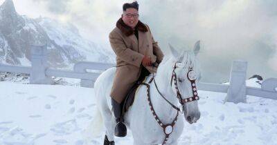 Ким Ченын - Армия КНДР закупила у России лошадей на $600 тысяч, — The Times - focus.ua - Россия - Украина - КНДР