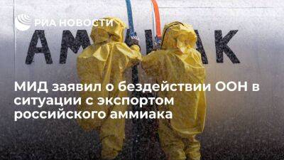 МИД: ООН бездействует в вопросе возобновления экспорта российского аммиака