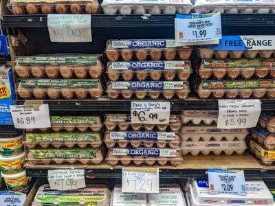 ERR в США: птичий грипп взвинтил цены на куриные яйца