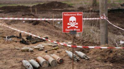 В Донецкой области три человека подорвались на минах – полиция