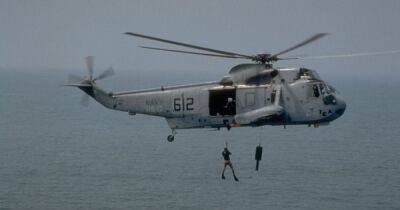 Британия отправила в Украину вертолет Sea King, – Резников (ВИДЕО)