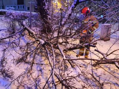 Из-за сильных снегопадов в Польше исчезает свет и гибнут люди - unn.com.ua - Украина - Киев - Германия - Польша - Сербия - Черногория - Косово - Албания