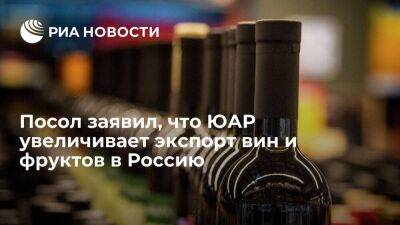 Посол в Москве: ЮАР работает над увеличением экспорта вин и цитрусовых в Россию