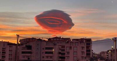 Шар из "сладкой ваты". Как появилось розовое облако "НЛО" и почему его фото завирусилось (фото)