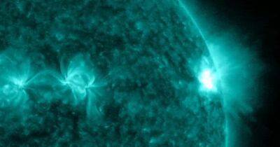 Зловещие фейерверки. Ученые обнаружили на Солнце "искры", которые предвещают беду - focus.ua - США - Украина - шт. Колорадо