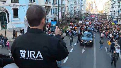 В Лиссабоне прошла массовая акция в защиту прав домашних животных