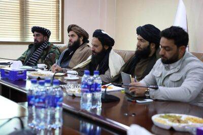 «Талибан» готов создать специальные силы для обеспечения безопасности ТАПИ