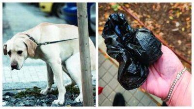 Жители Кирьят-Бялика: владельцам собак выписывают штрафы ни за что