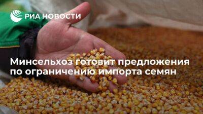 Патрушев заявил, что Минсельхоз намерен квотировать импорт семян