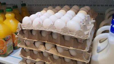 1 февраля куриные яйца в Израиле подорожают на 16%