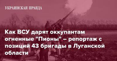 Как ВСУ дарят оккупантам огненные "Пионы" – репортаж с позиций 43 бригады в Луганской области