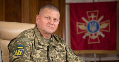 Залужный пожертвовал украинской армии $1 млн, полученный в наследство, — NYT
