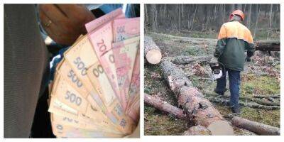Аферисты придумали циничную схему обмана украинцев: "остаются без денег и дров"
