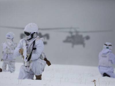 Турция проводят крупнейшие в ее истории зимние военные учения