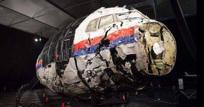 Крушение лайнера МН17: ЕСПЧ признал Россию виновной в гибели пассажиров и членов экипажа