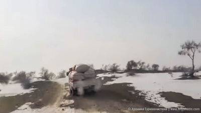 Минсельхоз Туркменистана из-за морозов обязал маслозаводы поставить сельхозобъединениям корм для скота
