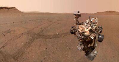 Марсоход NASA приготовил сюрприз для ученых на фоне первого в истории "склада" на Марсе (фото)