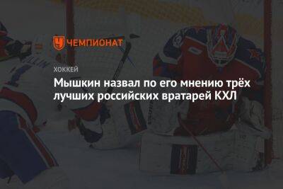 Мышкин назвал, по его мнению, трёх лучших российских вратарей КХЛ