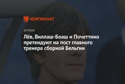 Лёв, Виллаш-Боаш и Почеттино претендуют на пост главного тренера сборной Бельгии