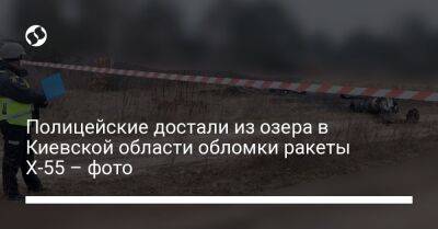 Полицейские достали из озера в Киевской области обломки ракеты Х-55 – фото
