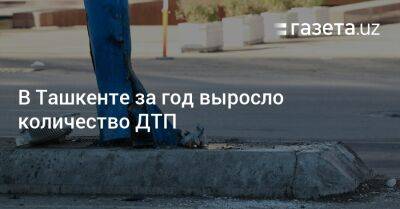 В Ташкенте за год выросло количество ДТП - gazeta.uz - Узбекистан - Ташкент - Скончался
