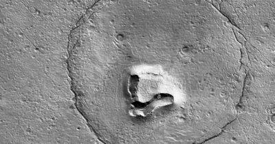 Марсианский Паддингтон. Космический аппарат NASA нашел на Марсе медведя (фото)
