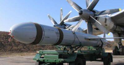 Под Киевом снова сбили ракету Х-55 с имитатором ядерной боевой части, — СМИ (фото)
