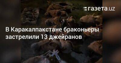 В Каракалпакстане браконьеры застрелили 13 джейранов - gazeta.uz - Узбекистан