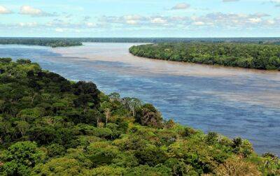Леса Амазонки на 38% разрушены людьми - ученые