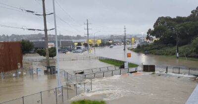 В Новой Зеландии масштабный потоп: под водой автомагистрали, дома и аэропорт (фото, видео)