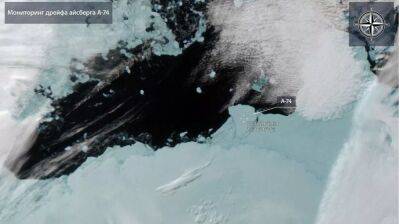 Учёные рассказали, что произойдет с отколовшимся от Антарктиды айсбергом